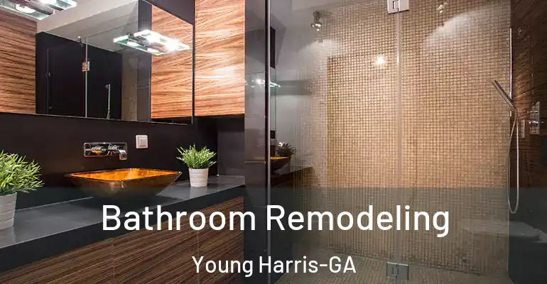 inner Bathroom imggen Bathroom Remodeling Young Harris-GA