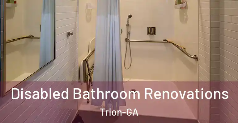 inner Bathroom imggen Disabled Bathroom Renovations Trion-GA