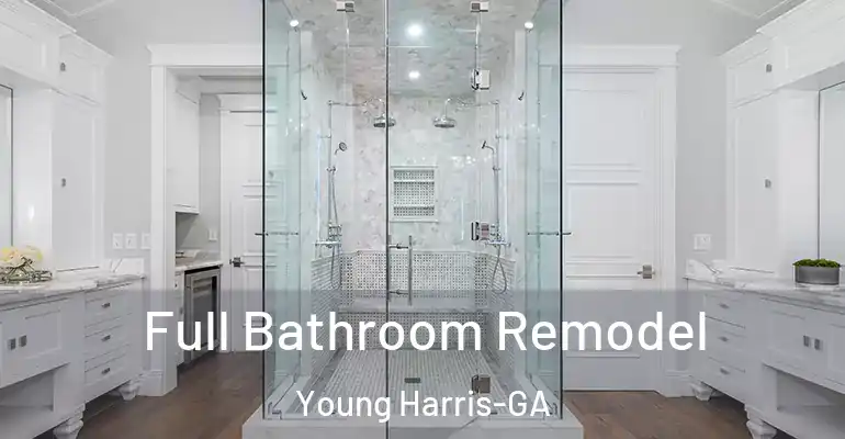 inner Bathroom imggen Full Bathroom Remodel Young Harris-GA
