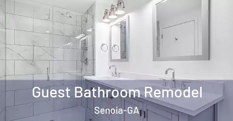 inner Bathroom imggen Guest Bathroom Remodel Senoia-GA