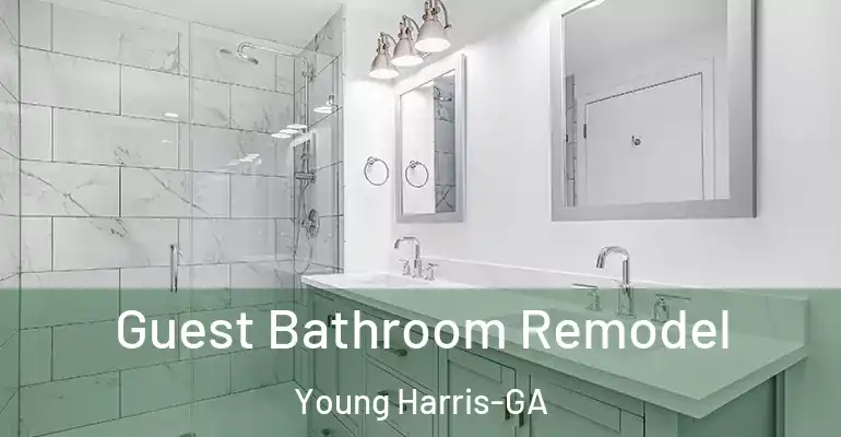 inner Bathroom imggen Guest Bathroom Remodel Young Harris-GA