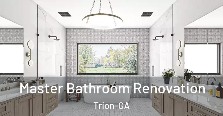 inner Bathroom imggen Master Bathroom Renovation Trion-GA