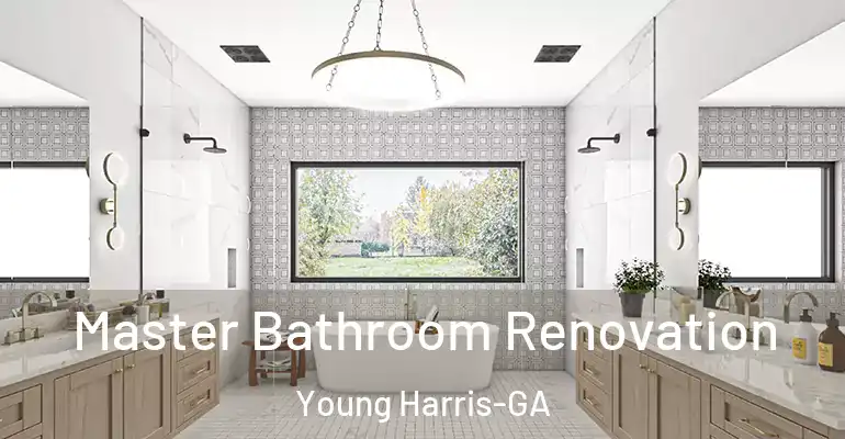 inner Bathroom imggen Master Bathroom Renovation Young Harris-GA