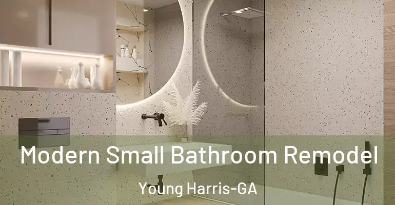inner Bathroom imggen Modern Small Bathroom Remodel Young Harris-GA