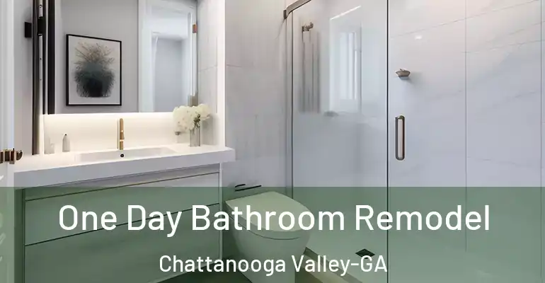 inner Bathroom imggen One Day Bathroom Remodel Chattanooga Valley-GA