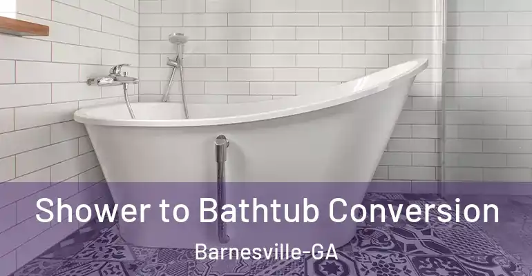 inner Bathroom imggen Shower to Bathtub Conversion Barnesville-GA