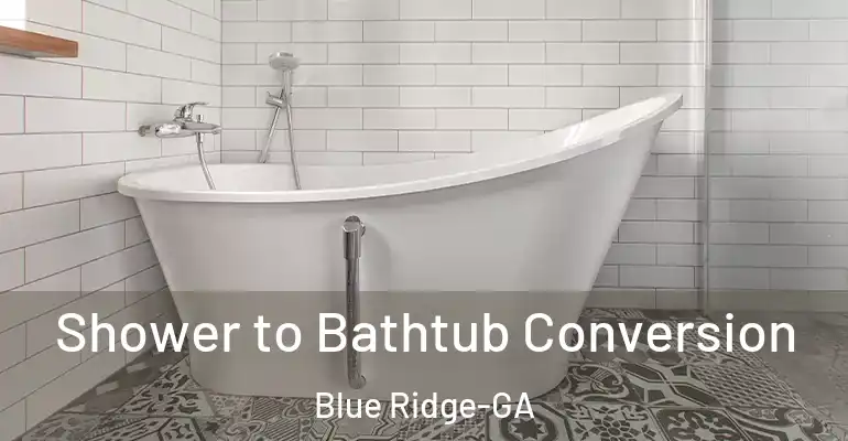 inner Bathroom imggen Shower to Bathtub Conversion Blue Ridge-GA