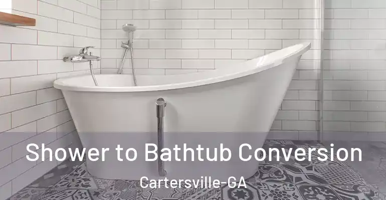 inner Bathroom imggen Shower to Bathtub Conversion Cartersville-GA