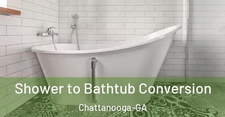 inner Bathroom imggen Shower to Bathtub Conversion Chattanooga-GA