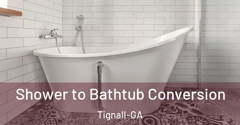 inner Bathroom imggen Shower to Bathtub Conversion Tignall-GA