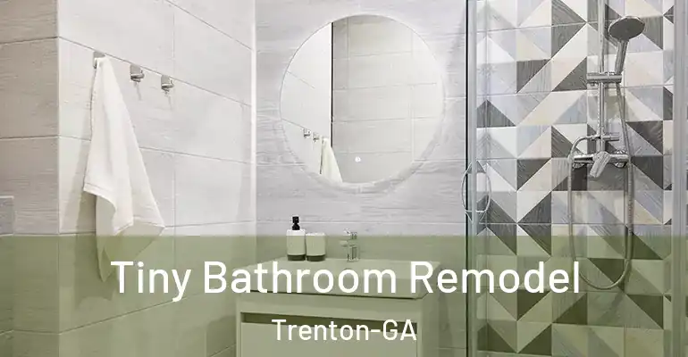 inner Bathroom imggen Tiny Bathroom Remodel Trenton-GA
