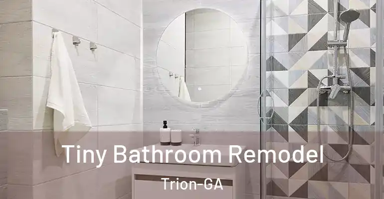 inner Bathroom imggen Tiny Bathroom Remodel Trion-GA