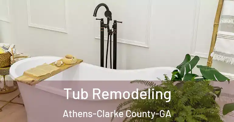 inner Bathroom imggen Tub Remodeling Athens-Clarke County-GA
