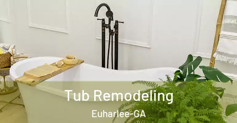 inner Bathroom imggen Tub Remodeling Euharlee-GA