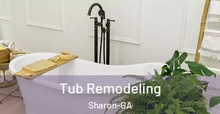 inner Bathroom imggen Tub Remodeling Sharon-GA