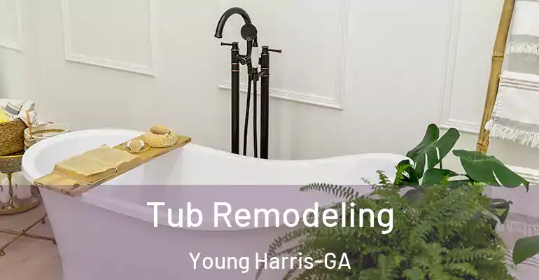 inner Bathroom imggen Tub Remodeling Young Harris-GA
