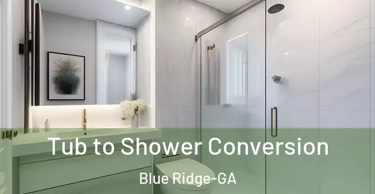 inner Bathroom imggen Tub to Shower Conversion Blue Ridge-GA