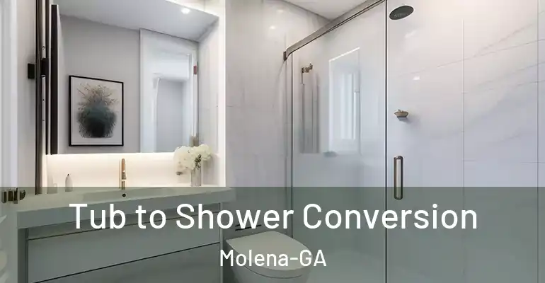 inner Bathroom imggen Tub to Shower Conversion Molena-GA