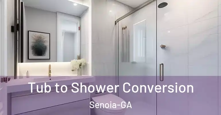 inner Bathroom imggen Tub to Shower Conversion Senoia-GA