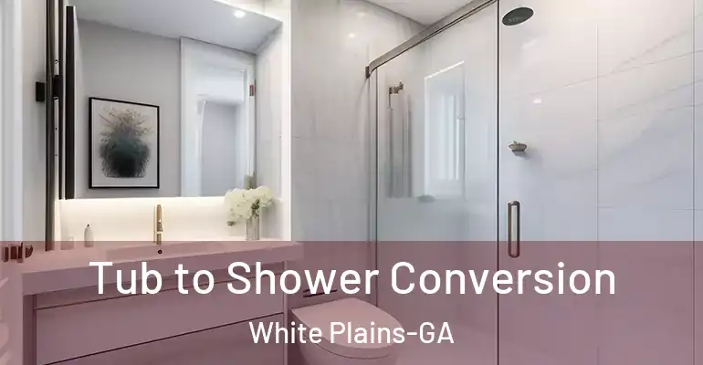 inner Bathroom imggen Tub to Shower Conversion White Plains-GA