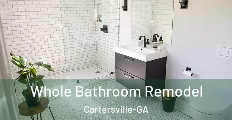 inner Bathroom imggen Whole Bathroom Remodel Cartersville-GA