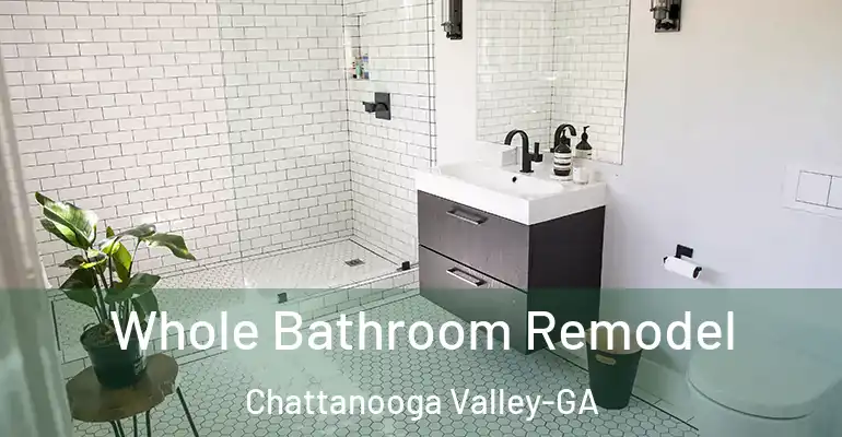 inner Bathroom imggen Whole Bathroom Remodel Chattanooga Valley-GA