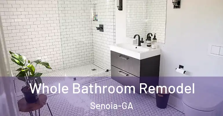 inner Bathroom imggen Whole Bathroom Remodel Senoia-GA
